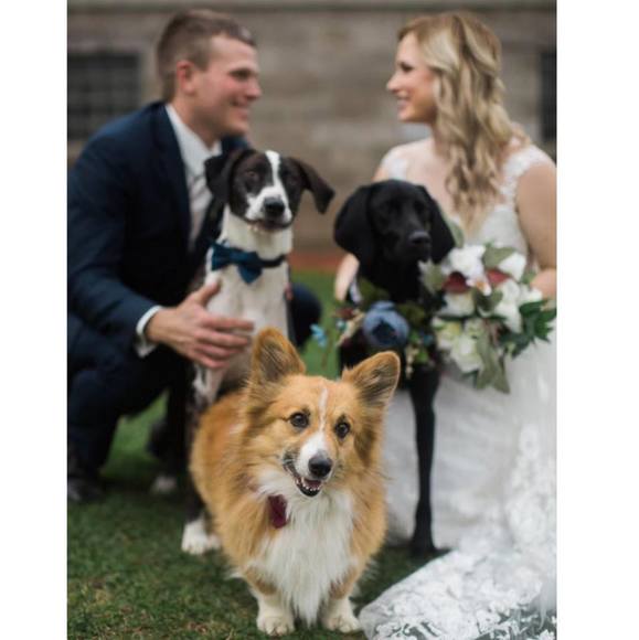 Profile Picture of Cassie Grimsled (@cngrimsled) on Poshmark