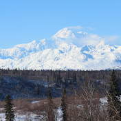 Profile Picture of Yan Zhang (@yanzhang450) on Youtube