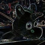 Profile Picture of Danny Pyle (@pyle.danny) on Instagram