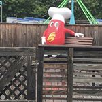 Profile Picture of Jb (@thomas_the_jellybean) on Instagram