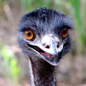 Profile Picture of Erica (@erica.steiner) on Myspace
