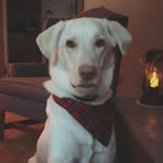 Profile Picture of Cheryl Peterson McCarver (@cheryl.mccarver) on Facebook