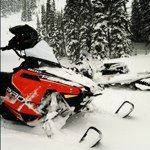 Profile Picture of shaun_pelland (@shaun_pelland) on Instagram