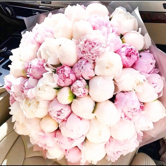 Profile Picture of Claudette Chavez (@claudettecha915) on Poshmark