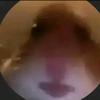 Profile Picture of David Moin (@@davidmoinmoin) on Tiktok
