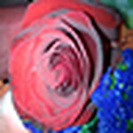 Profile Picture of Vaibhav  Kumar (@vaibhavkumar_dx@yahoo.com.sg) on Flickr