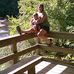 Profile Picture of Wayne Lorde (@wayne.lorde.10) on Facebook