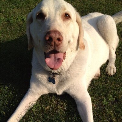 Profile Picture of David Slechta (@DavidSlechta) on Twitter