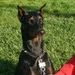 Profile Picture of Michael Dopson (@dopson3441) on Pinterest