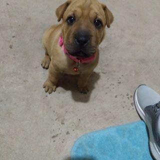 Profile Picture of Adam Valeriorosales (@adam.valeriorosales) on Facebook