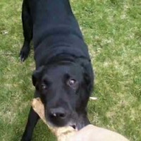 Profile Picture of Brian Custer (@brian-custer-1) on Quora