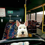 Profile Picture of Mark 'selfy' Self (@controversially mark self) on Flickr