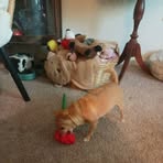 Profile Picture of Pamela Burback (@pamela.burback.5) on Facebook