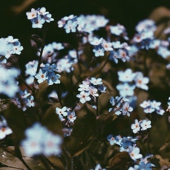 Profile Picture of Delaney Scott (@delladee123) on Poshmark