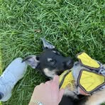 Profile Picture of Andrew Billard (@andrew.billard.769163) on Facebook