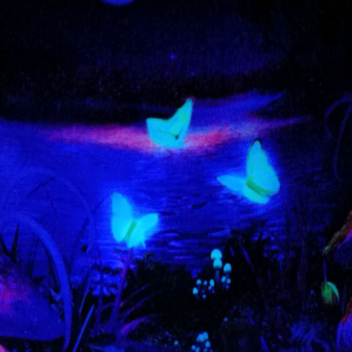 Profile Picture of Lucinda Collins (@lucindacollins) on Tiktok