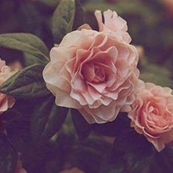 Profile Picture of Kelly Portlock (@kelllyyyannn) on Poshmark