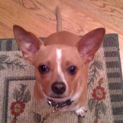Profile Picture of Chet Moore (@chmoore3) on Twitter