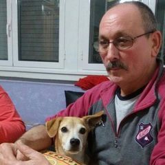 Profile Picture of angelovaleri1 (@angelovaleri1) on Tiktok