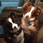 Profile Picture of Michael Horigan (@michaelhorigan) on Instagram