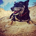 Profile Picture of jenyeefa (@jenyeefa) on Instagram