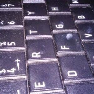 Profile Picture of Kevin Rex (@kevinrex549) on Tiktok