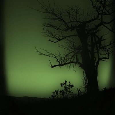 Profile Picture of Marc-André Faucher (@mafau74) on Twitter