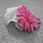 Profile Picture of Tanya (@creations by card) on Flickr