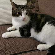 Profile Picture of Claudia Hansen (@claudiahansen1908) on Youtube