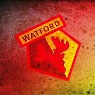 Profile Picture of Stephen Panella (@spanella21_) on Twitter