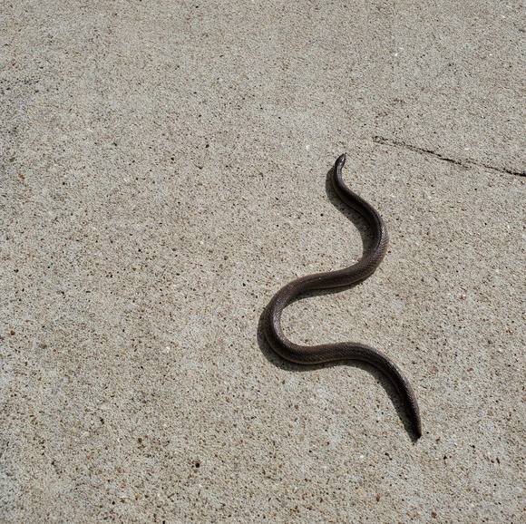 Profile Picture of Kyle Shakejunt (@freshestflow44) on Poshmark