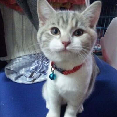 Profile Picture of Jimmy Yau (@jimmyyau99) on Twitter