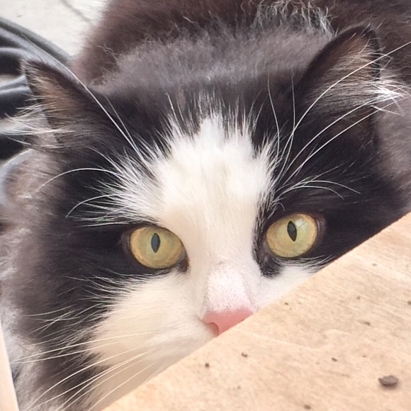 Ella Allgor - Poshmark Profile Picture of Ella Allgor (@pixelgirl122) on Poshmark