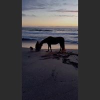 Profile Picture of Sara Thompson (@sara-thompson-107) on Quora