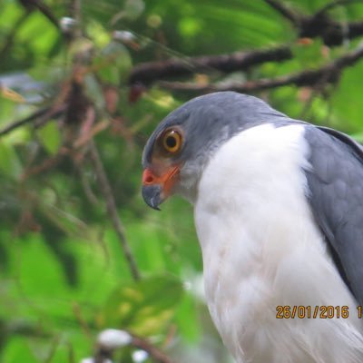 Profile Picture of Dave Worrell (@Deejayuu1) on Twitter
