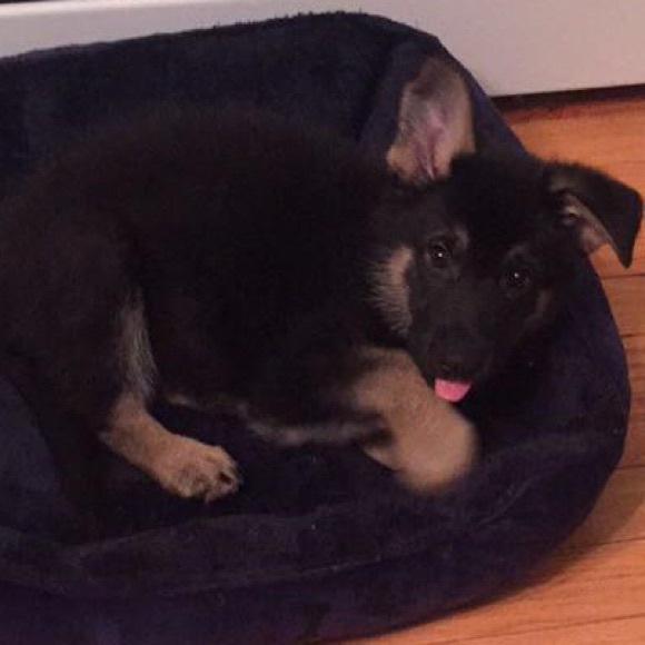 Profile Picture of Robyn Schechtman (@robynsch22) on Poshmark