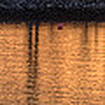 Profile Picture of Topher Oliver (@topher oliver) on Flickr