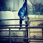Profile Picture of Jake Moyer (@jake_moyer20) on Instagram