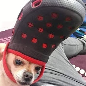 Profile Picture of Harim Lopez (@harimlopez1497) on Youtube