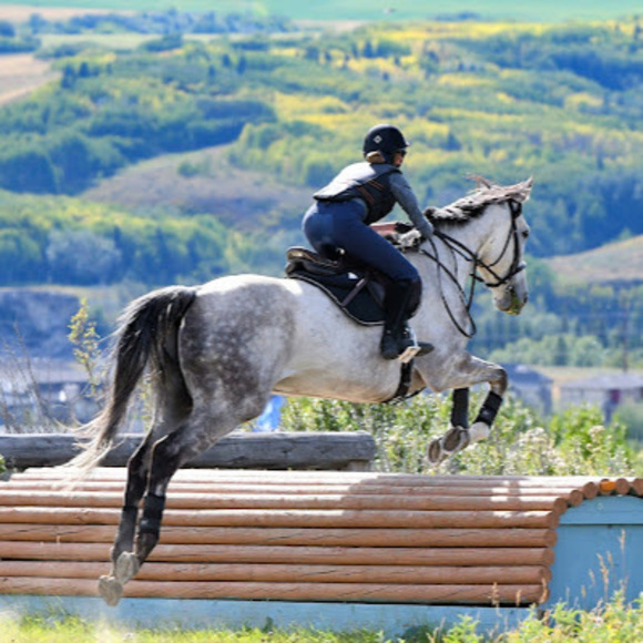 Profile Picture of Anna Houck-monk (@annajhouckmonk) on Poshmark