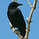 Profile Picture of Throbber85 (@throbber85) on Flickr