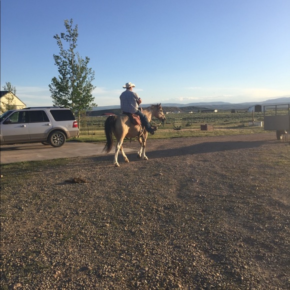 Profile Picture of Steven Cassell (@stevencassell) on Poshmark