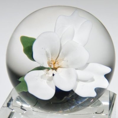 Profile Picture of Darrell Grant (@dwgrant11) on Twitter