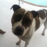 Profile Picture of Michael Wilder (@mojowilder) on Instagram