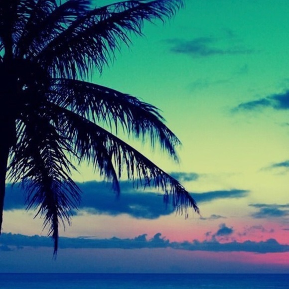 Profile Picture of Michael Campisi (@michaelcampisi) on Poshmark