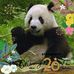 Profile Picture of Curtis Chung (@curtis.chung.733) on Facebook