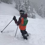 Profile Picture of David Pasquini (@dpasqui) on Instagram