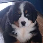 Profile Picture of Dawid Dzierżyński (@dawid.dzierzynski.56) on Facebook