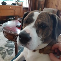 Profile Picture of Glenn Bell (@glenn-bell-24) on Quora