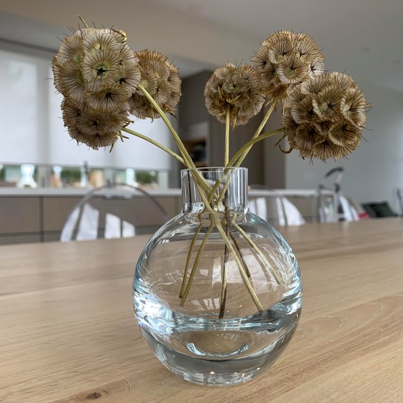 Profile Picture of Melanie Angevine (@adventurebird) on Poshmark